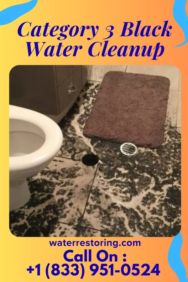 Category 3 Black Water Cleanup in Camanche Village, CA